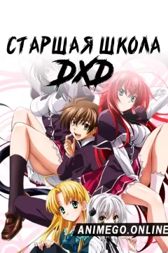 Старшая школа DxD