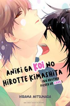 Aniki Ga Koi Wo Hirotte Kimashita