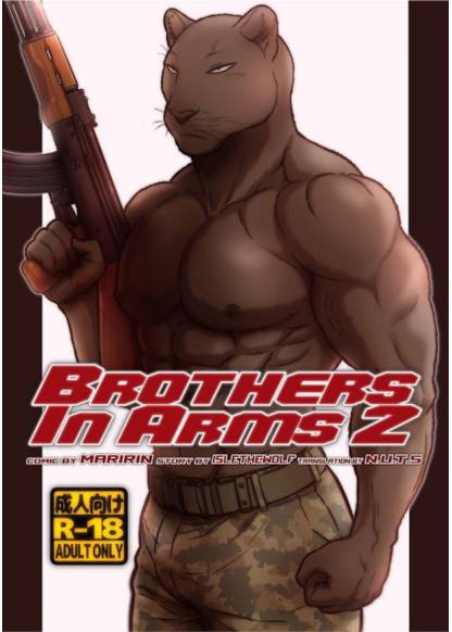 Brothers in Arms 2 (Братья по оружию 2)