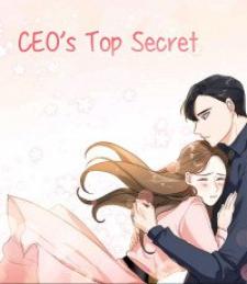 Ceo's Top Secret