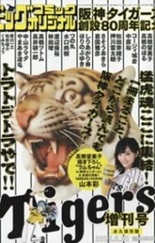 Hanshin Tigers Sousetsu 80 Shuunen Kinen Zoukan