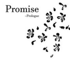 Promise