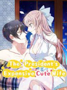 The President's Expensive, Cute Wife