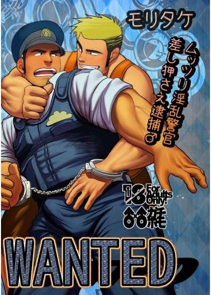 Wanted (Разыскиваемый)